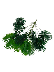 Photoroom_20241217_114458