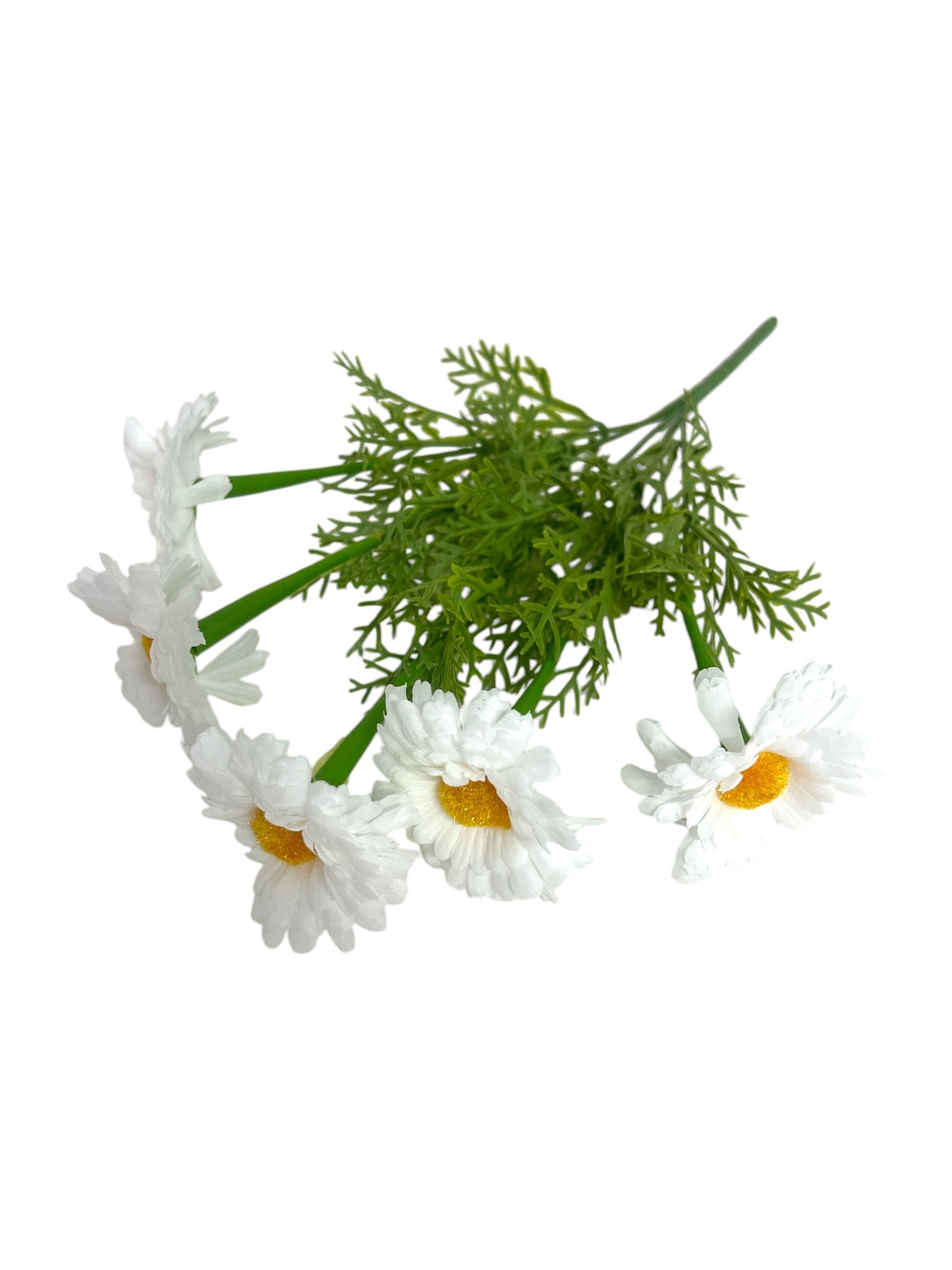 Photoroom_20250111_094401