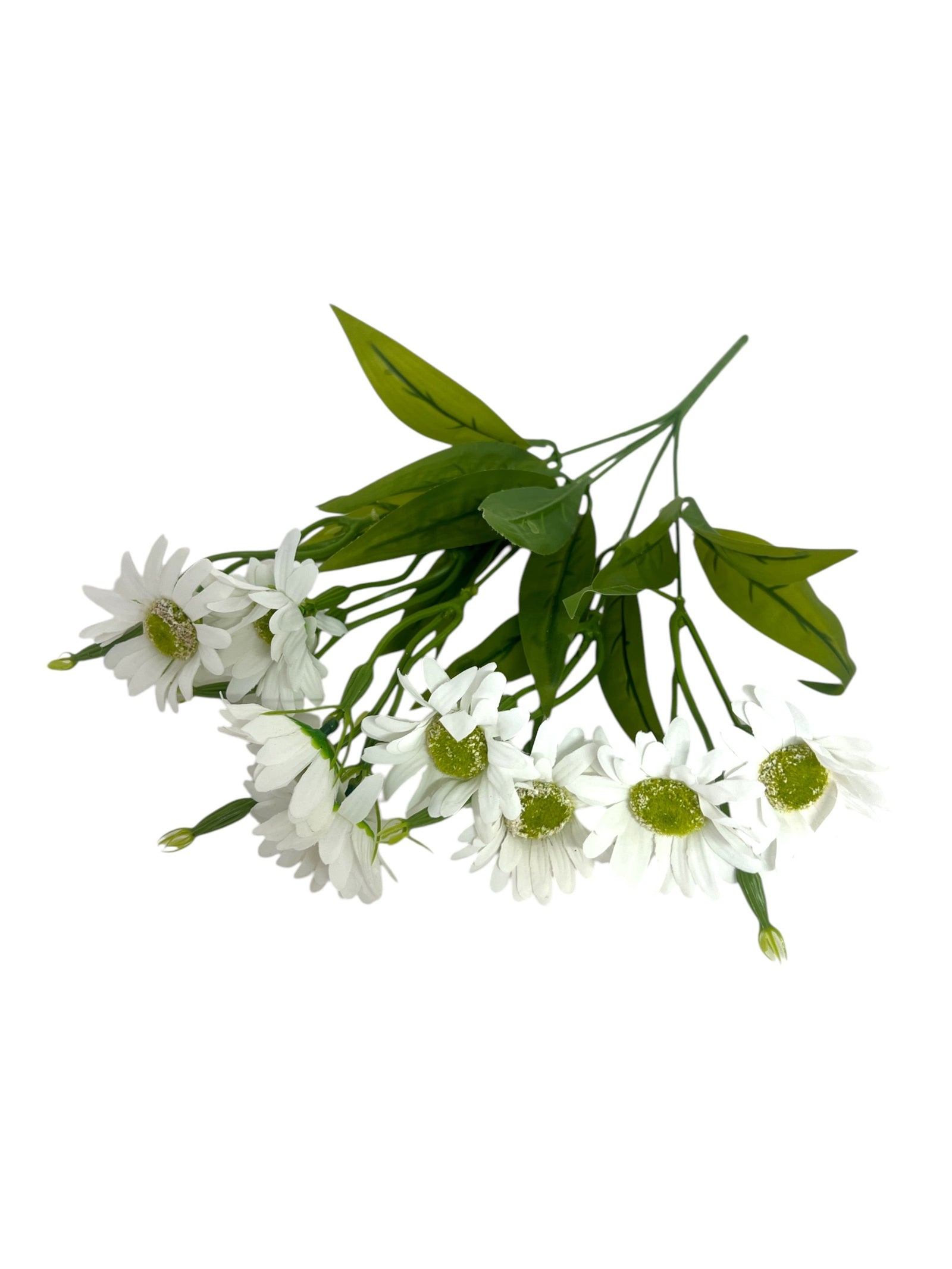 Photoroom_20250111_094515