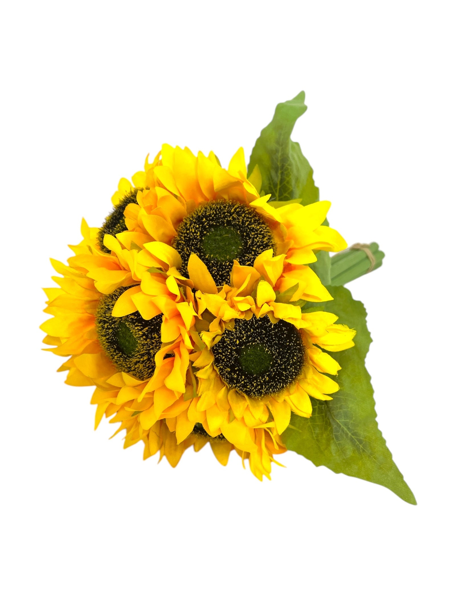 Photoroom_20250110_113349