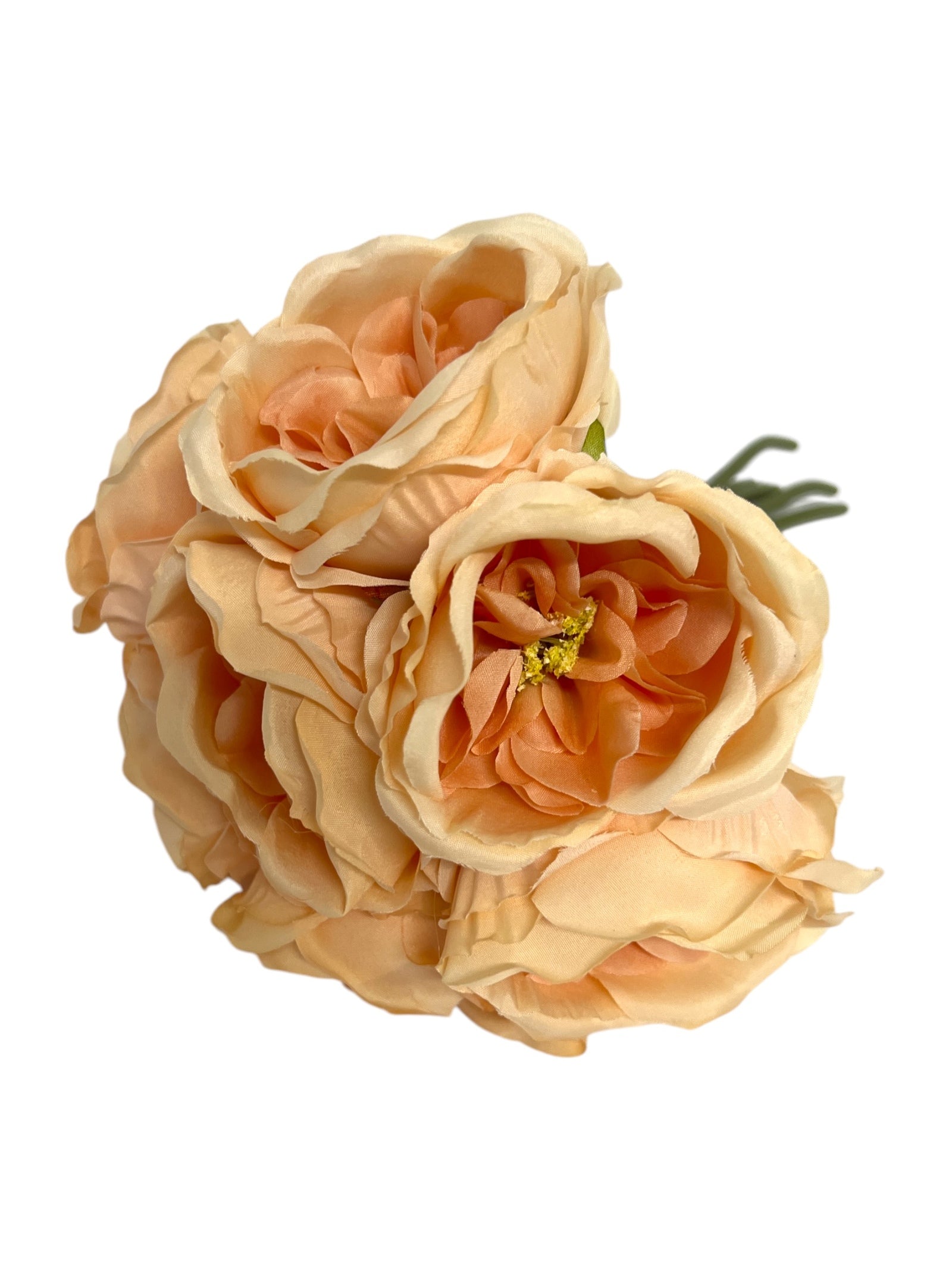 Photoroom_20250111_095435