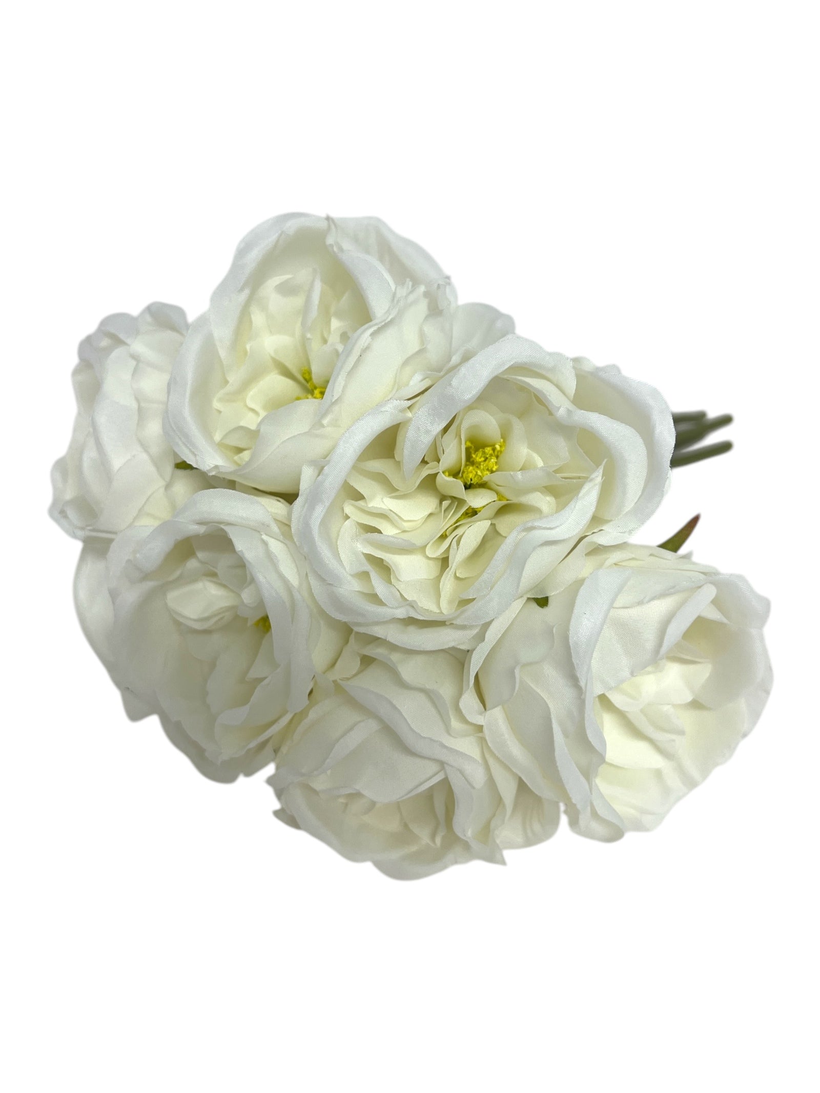 Photoroom_20250111_095558