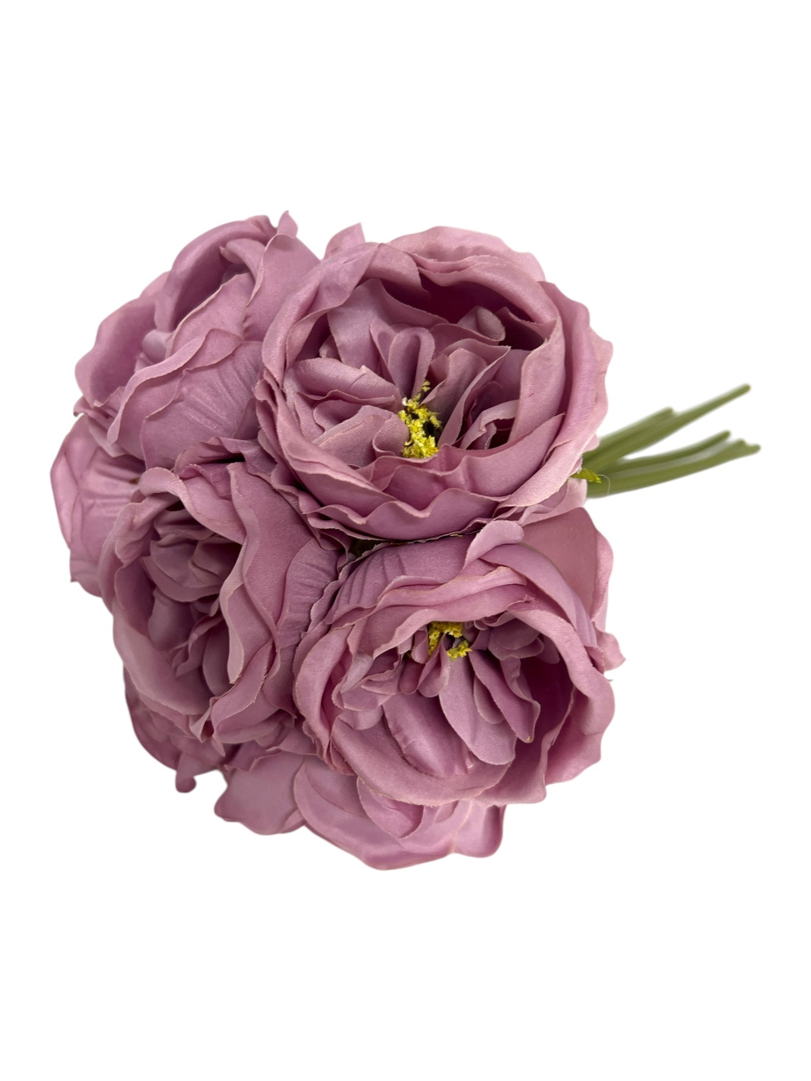 Photoroom_20250111_095655