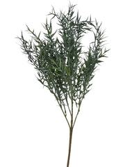 Photoroom_20250113_120251