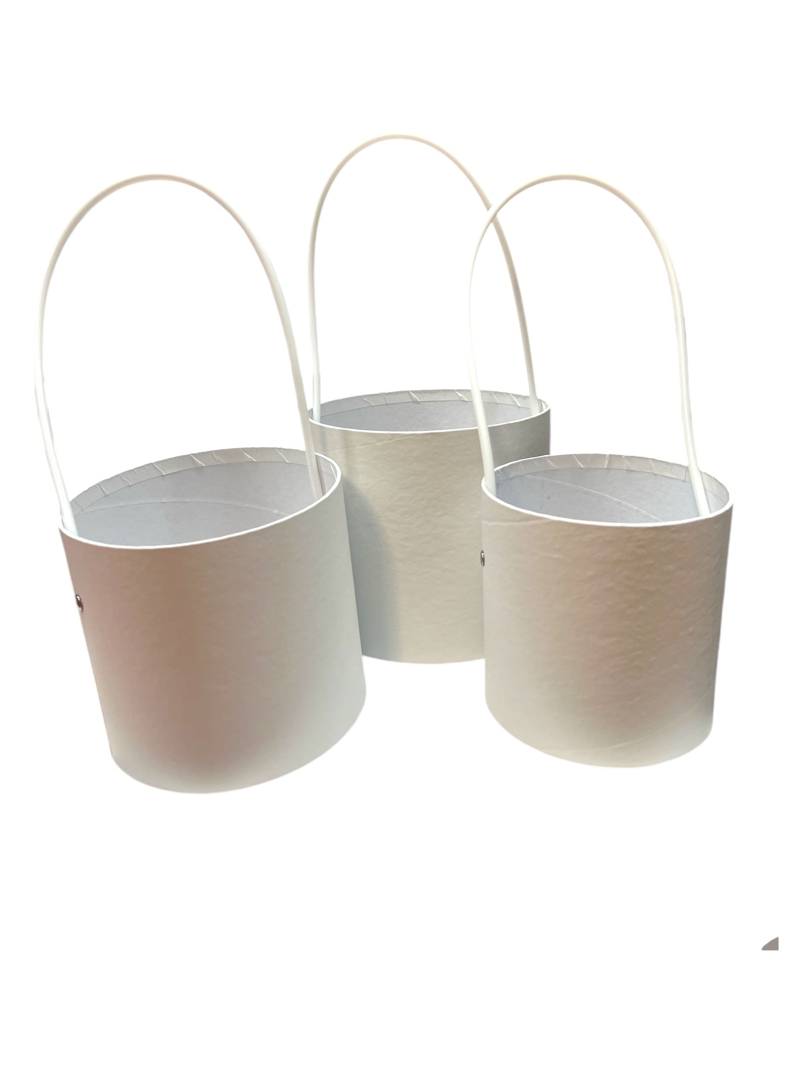 Photoroom_20250113_143650