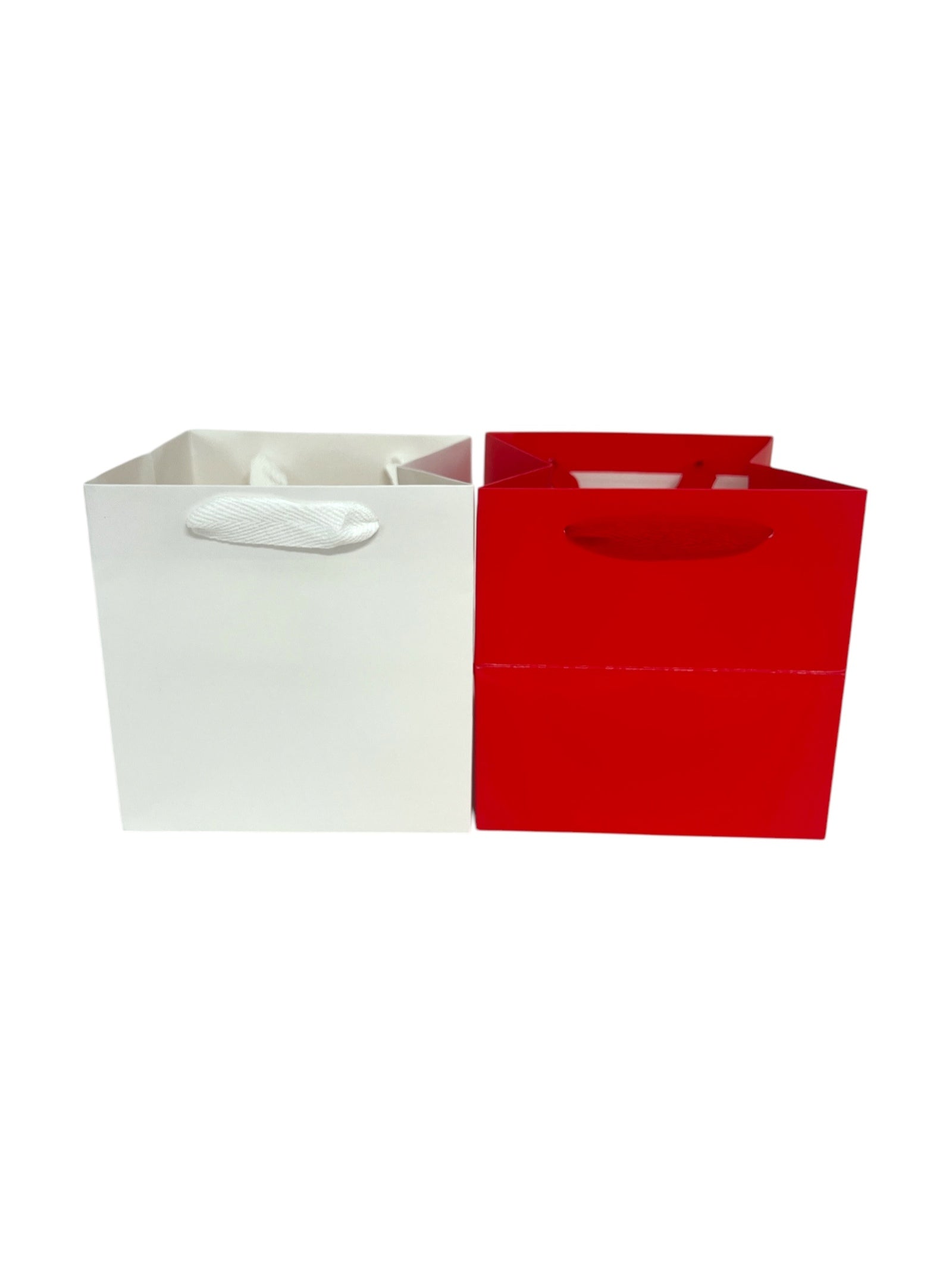 Photoroom_20250111_104353