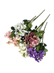 Photoroom_20250123_111734 4