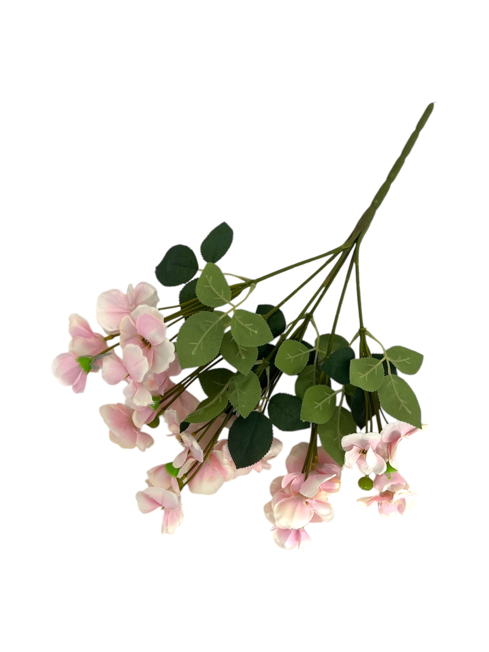 Photoroom_20250123_111915 4