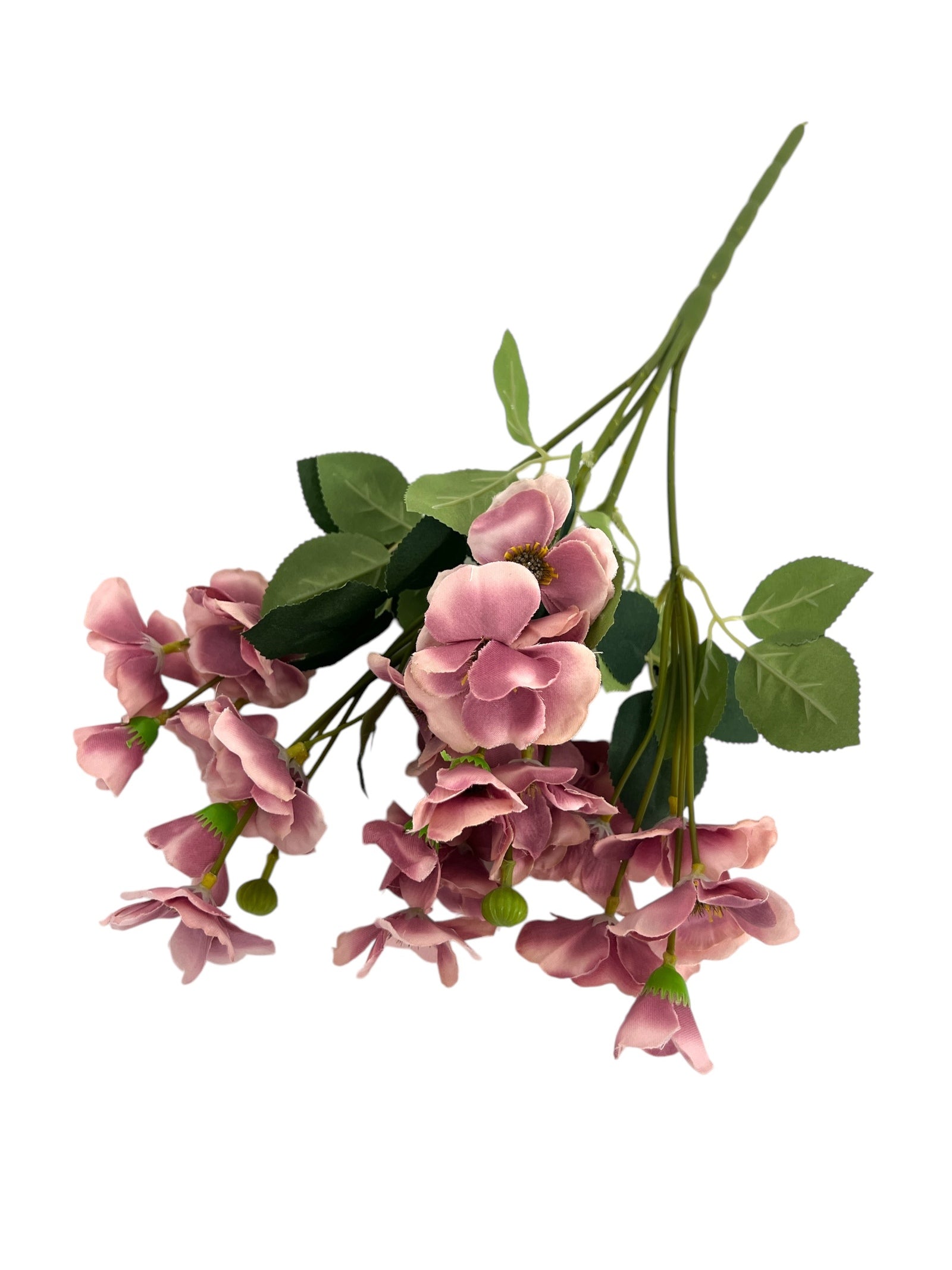 Photoroom_20250123_112022 4