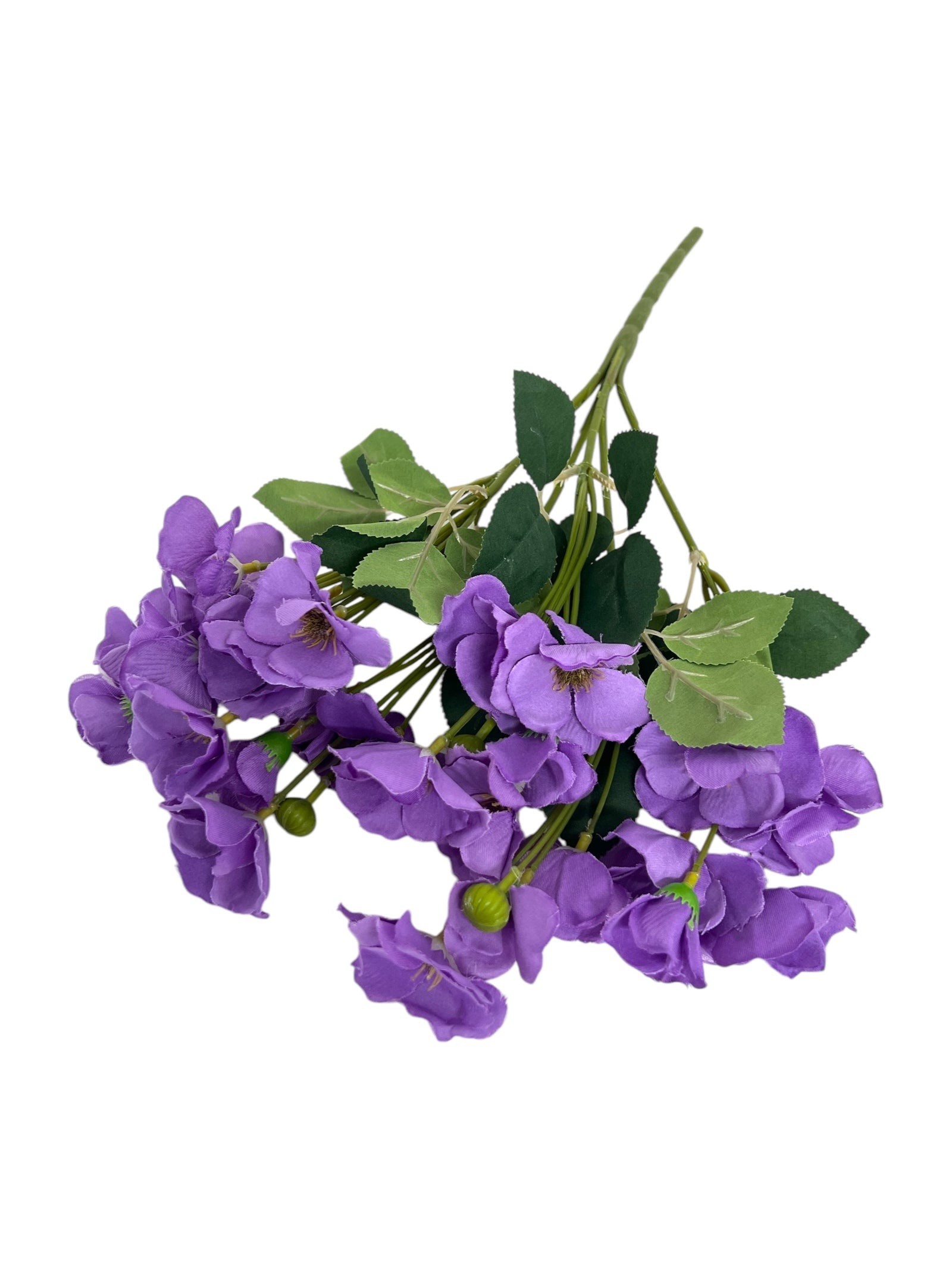 Photoroom_20250123_112114 4