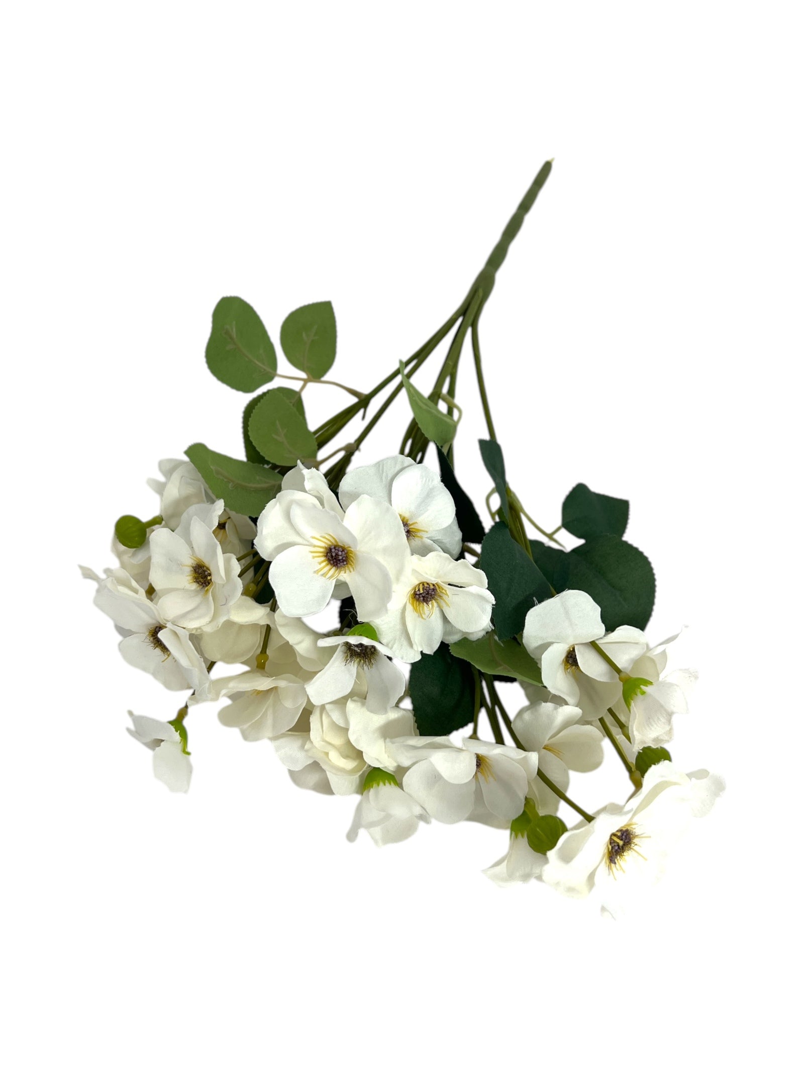 Photoroom_20250123_112228 4