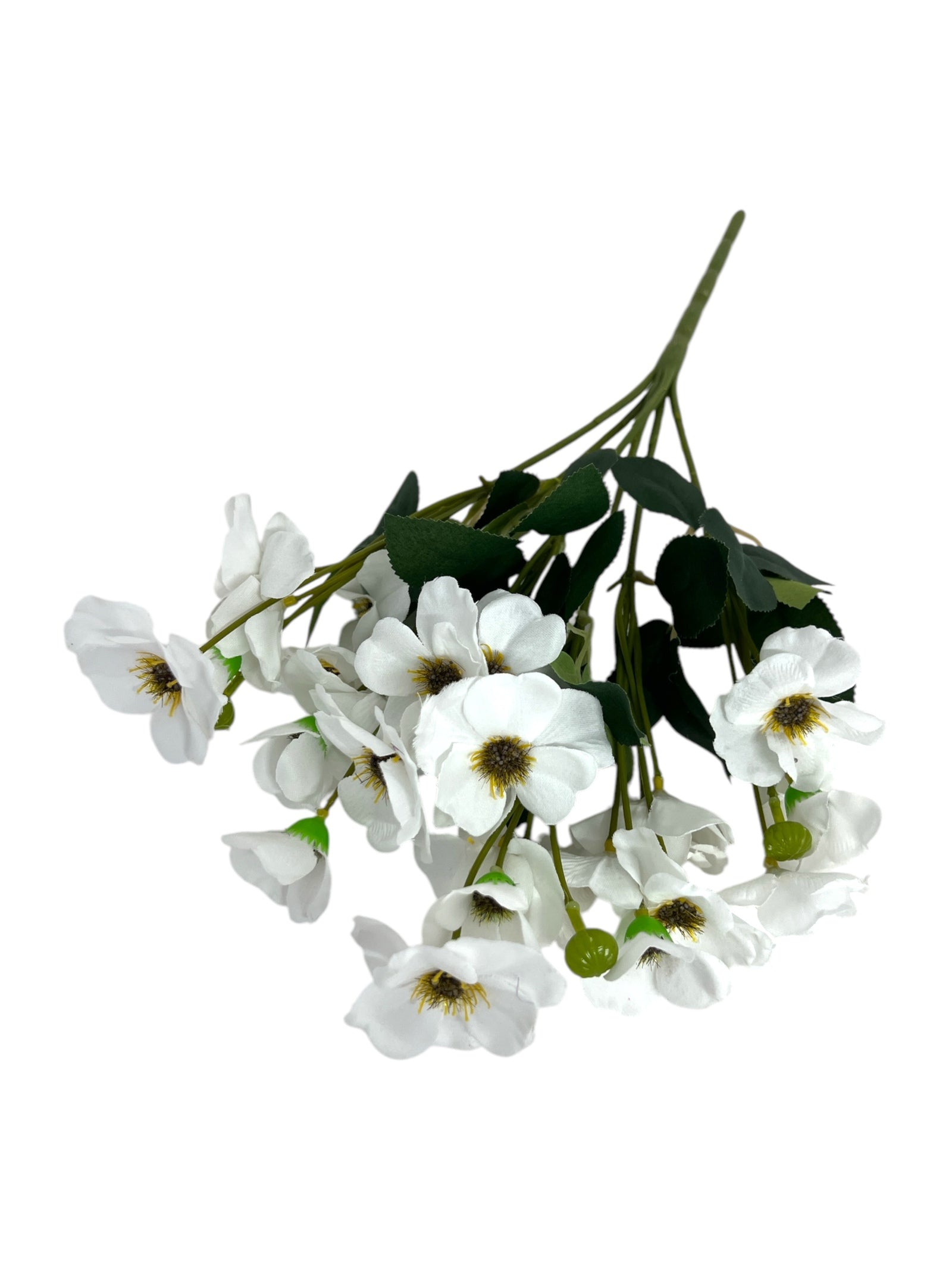 Photoroom_20250123_112339 4