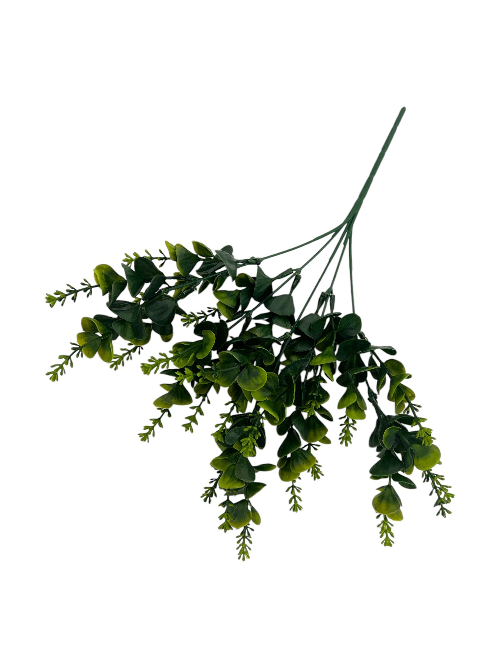 Photoroom_20250123_114419 4