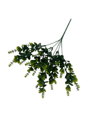 Photoroom_20250123_114419 4