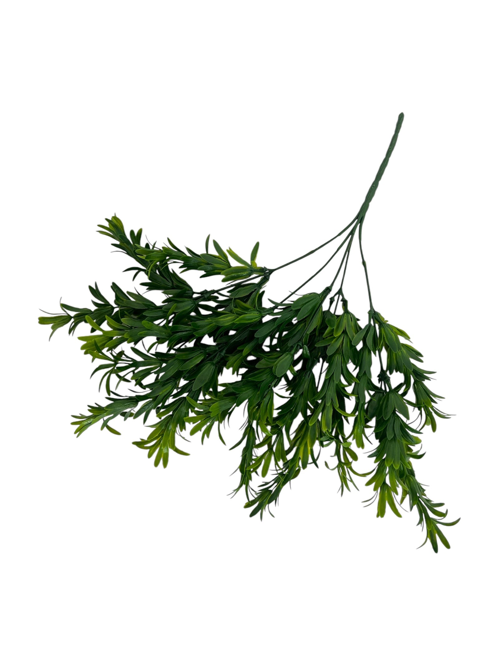 Photoroom_20250123_114611 4