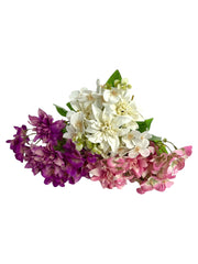 Photoroom_20250123_120201 4