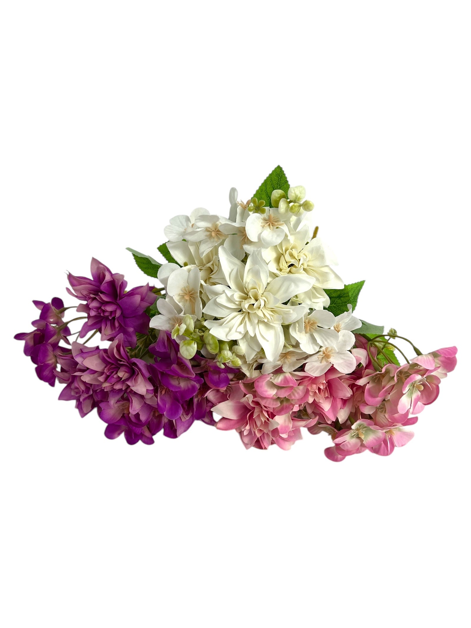 Photoroom_20250123_120201 4