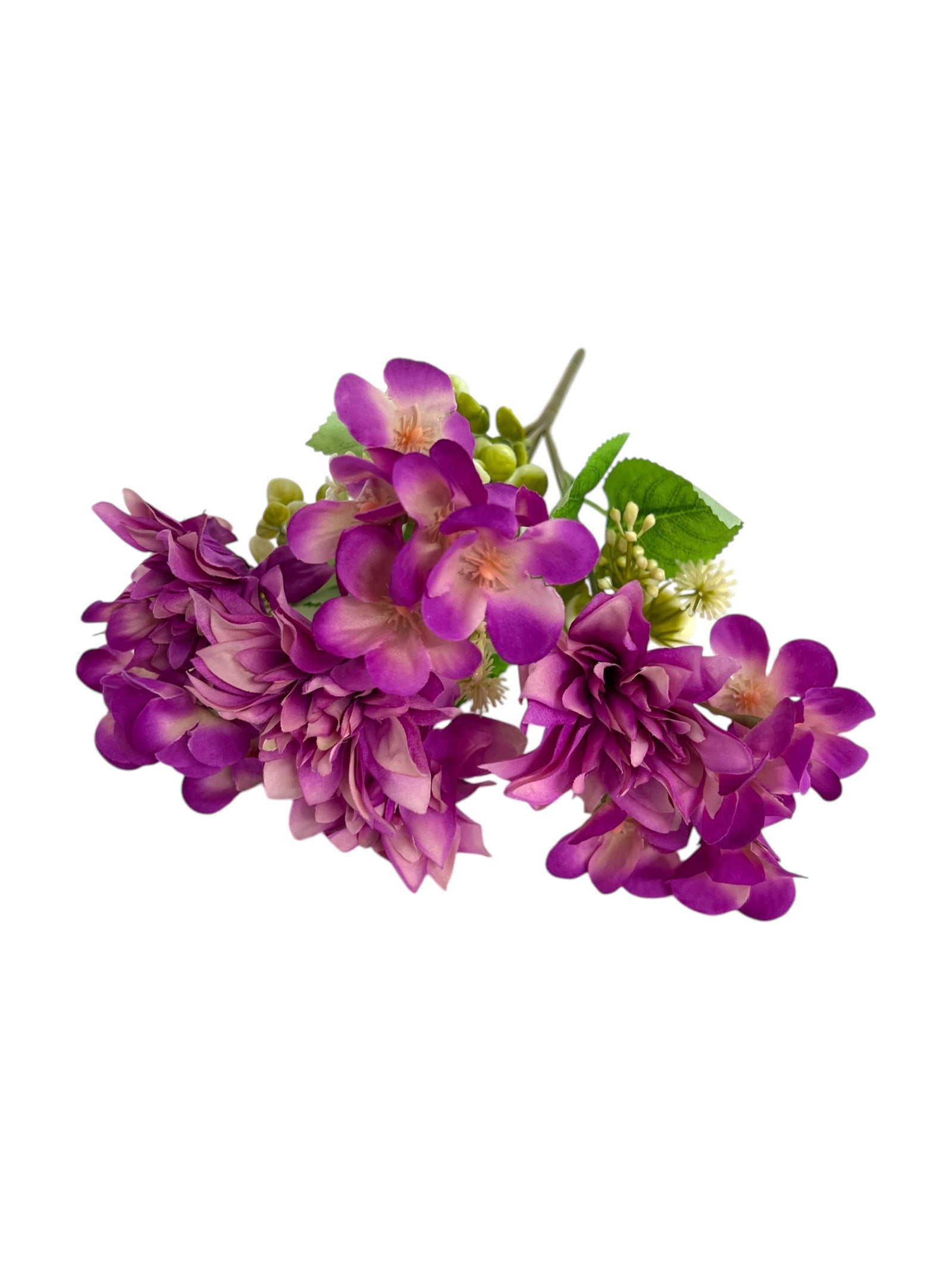 Photoroom_20250123_120250 4