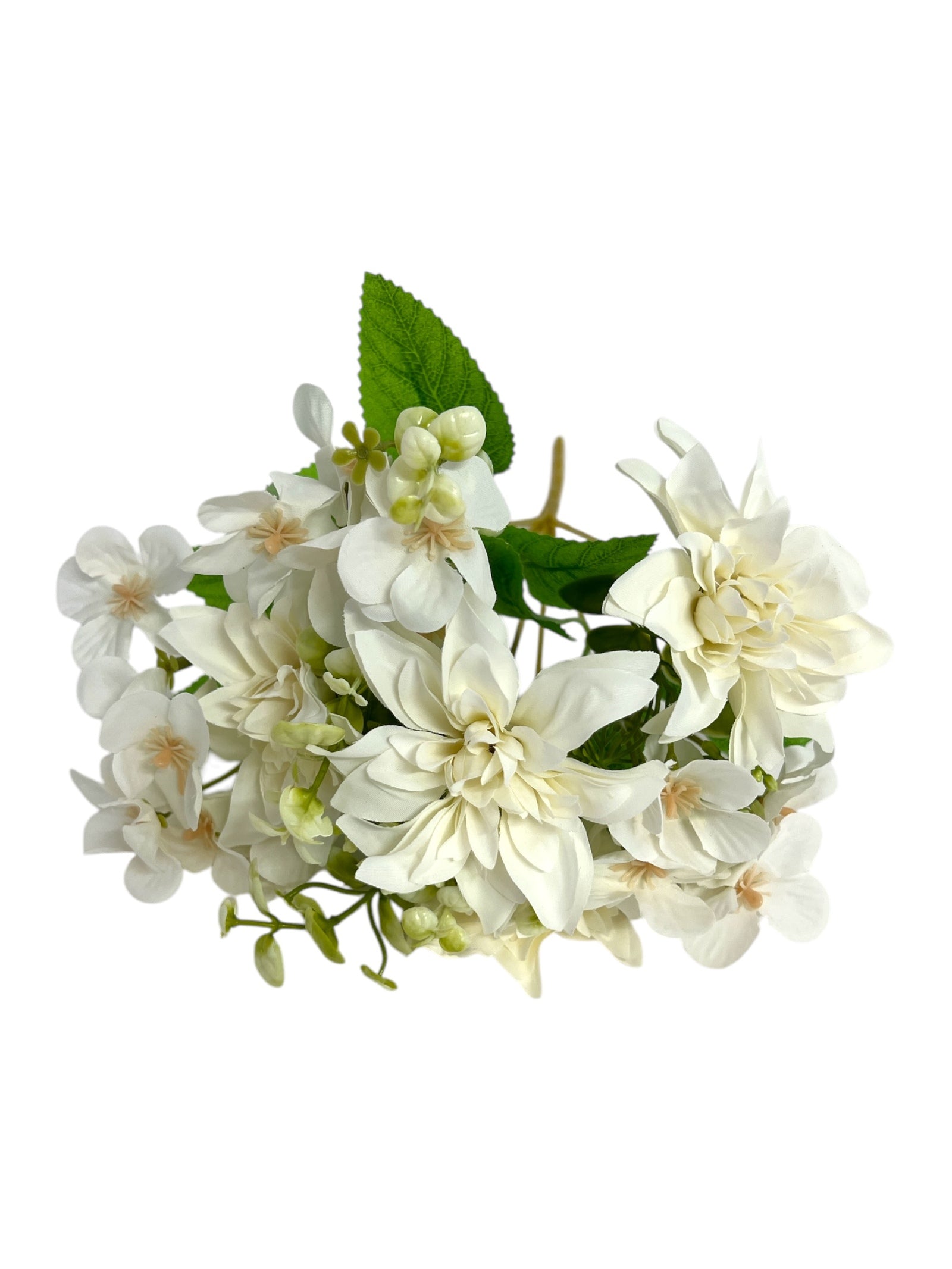 Photoroom_20250123_120355 4