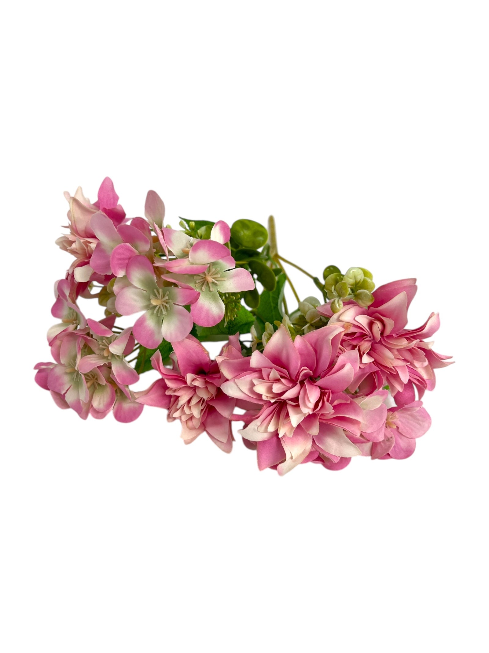 Photoroom_20250123_120459 4