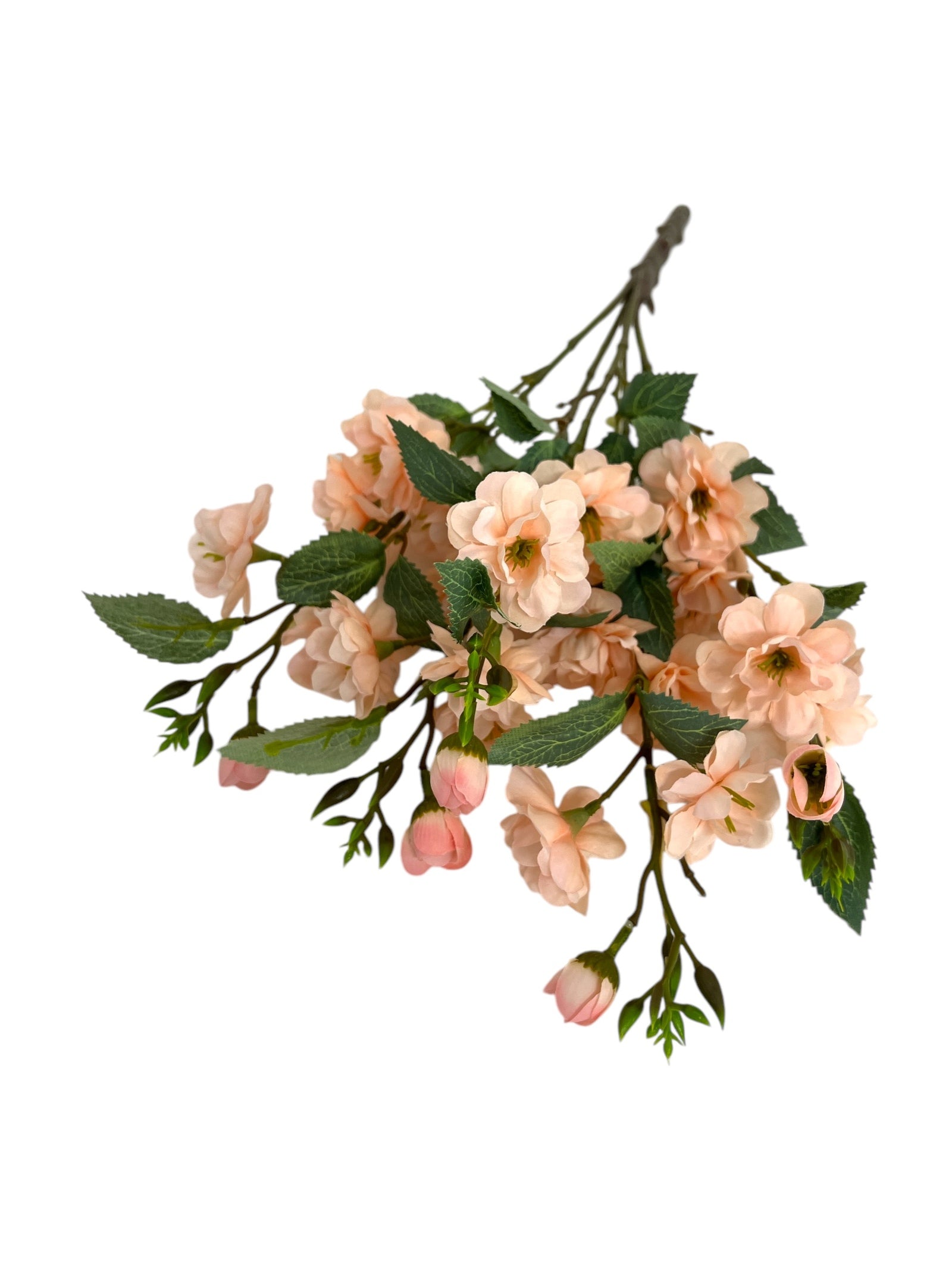 Photoroom_20250123_115801 4