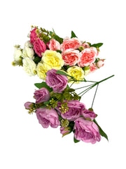 Photoroom_20250208_114530