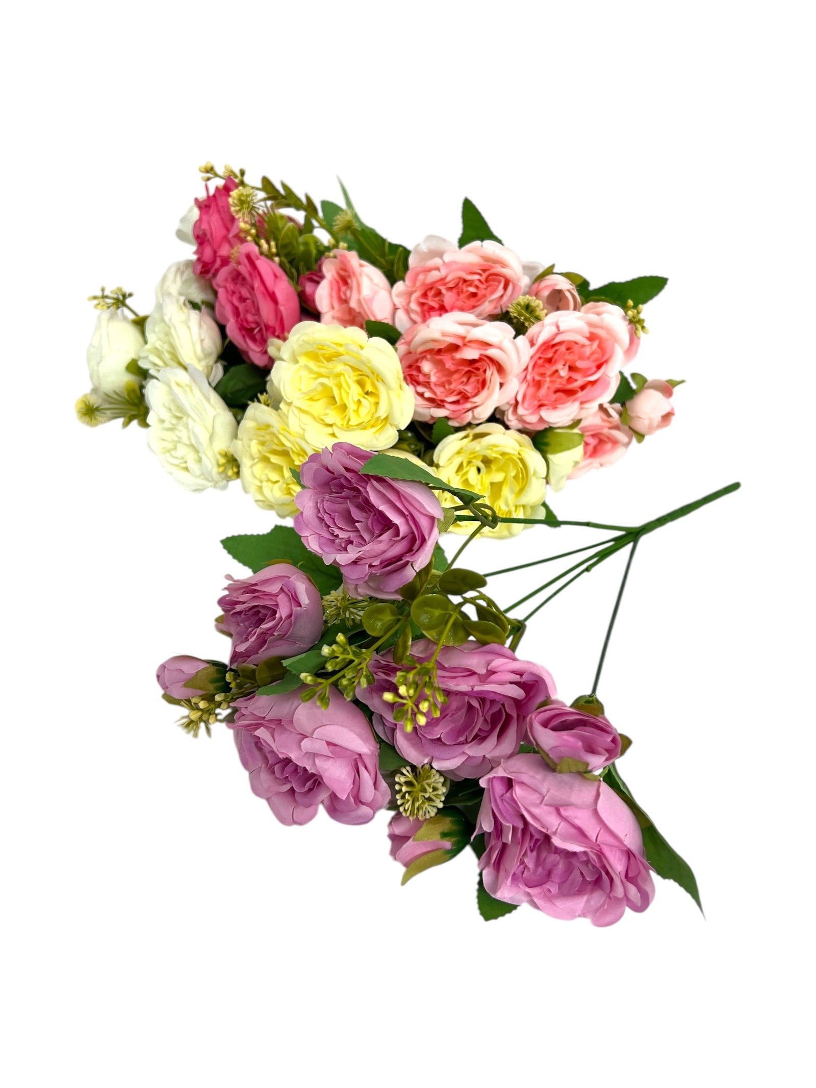 Photoroom_20250208_114530