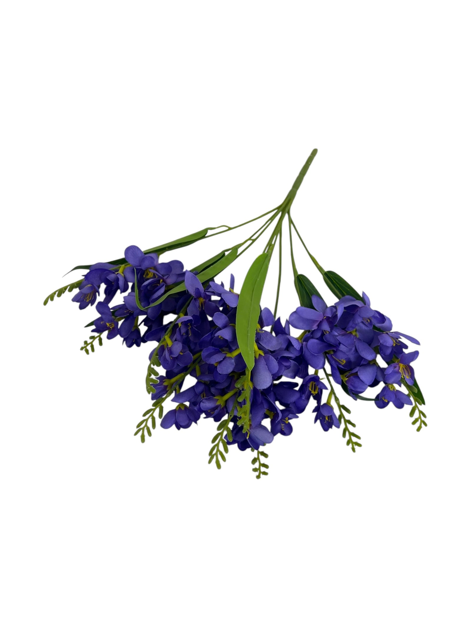 Photoroom_20250208_110148