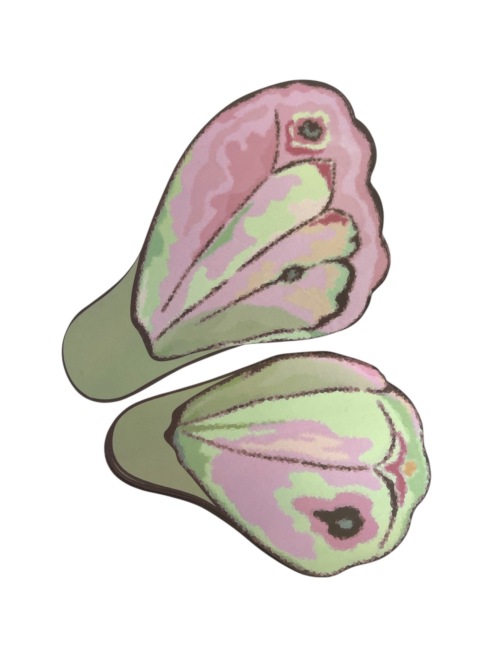 Photoroom_20250212_151748