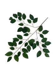 Photoroom_20250312_164300