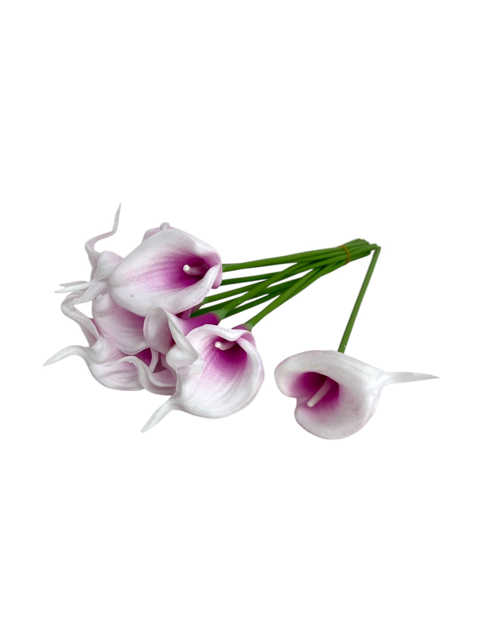 Photoroom_20250312_141518