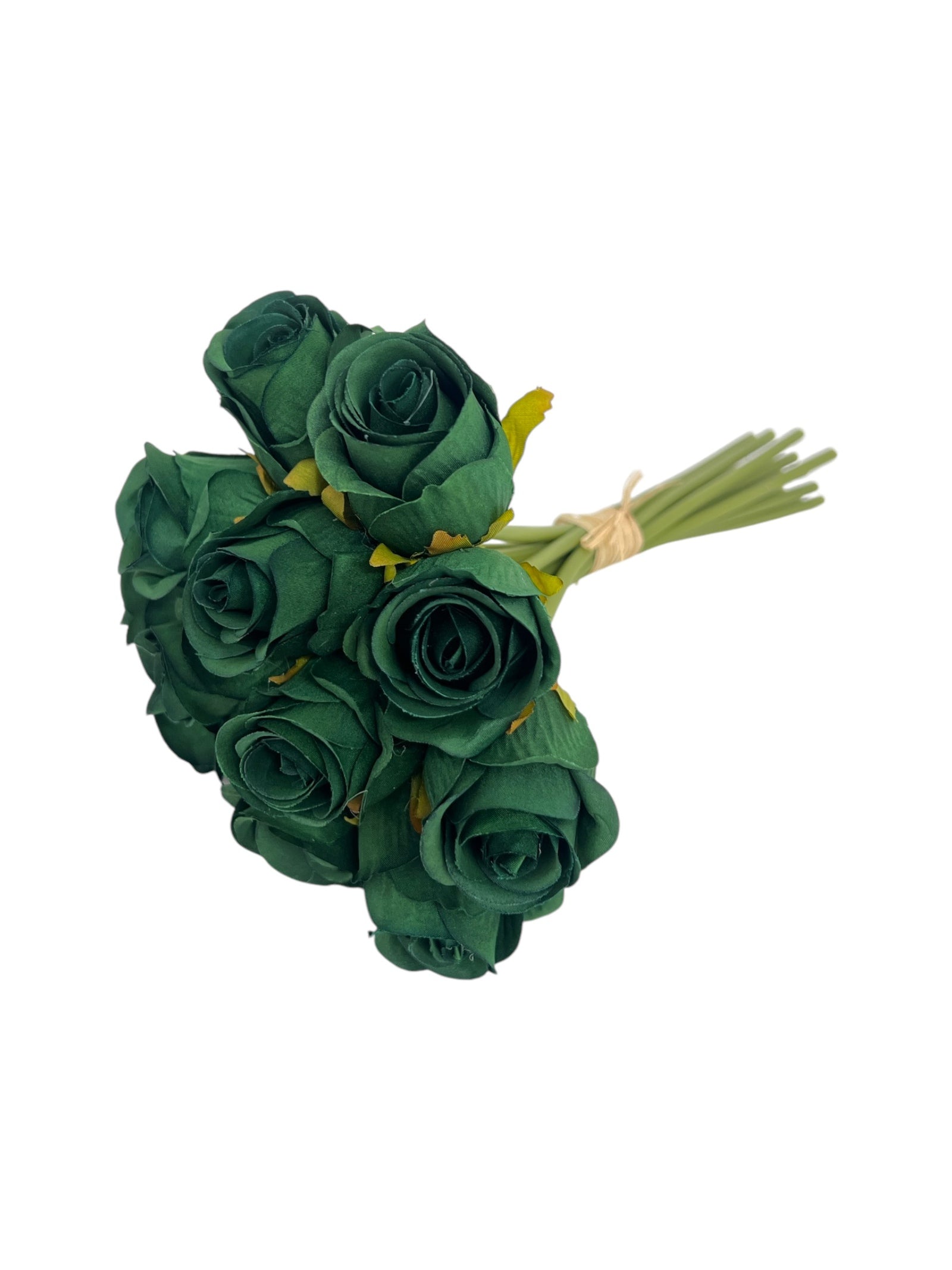 Photoroom_20250312_142250