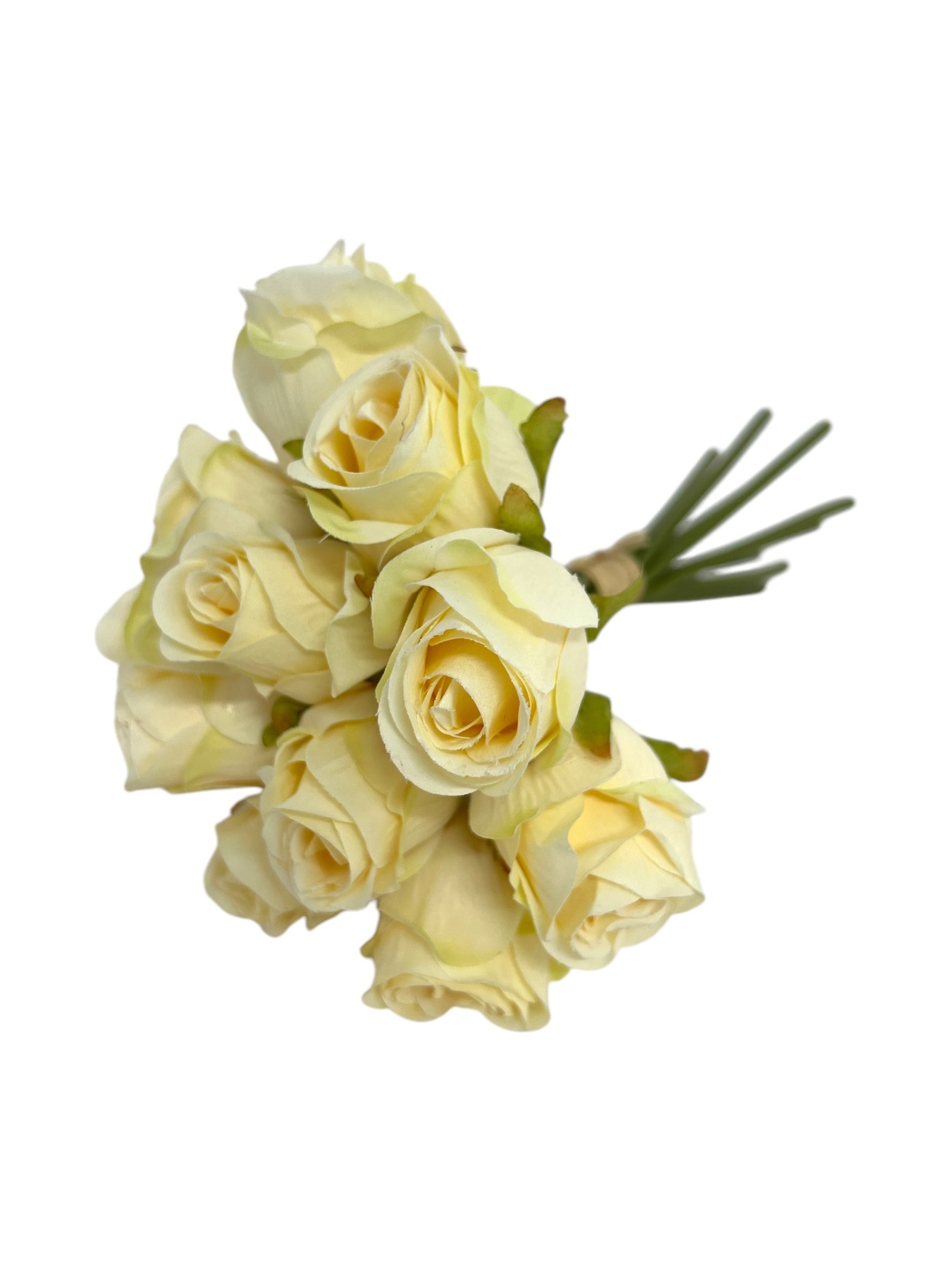 Photoroom_20250312_142459