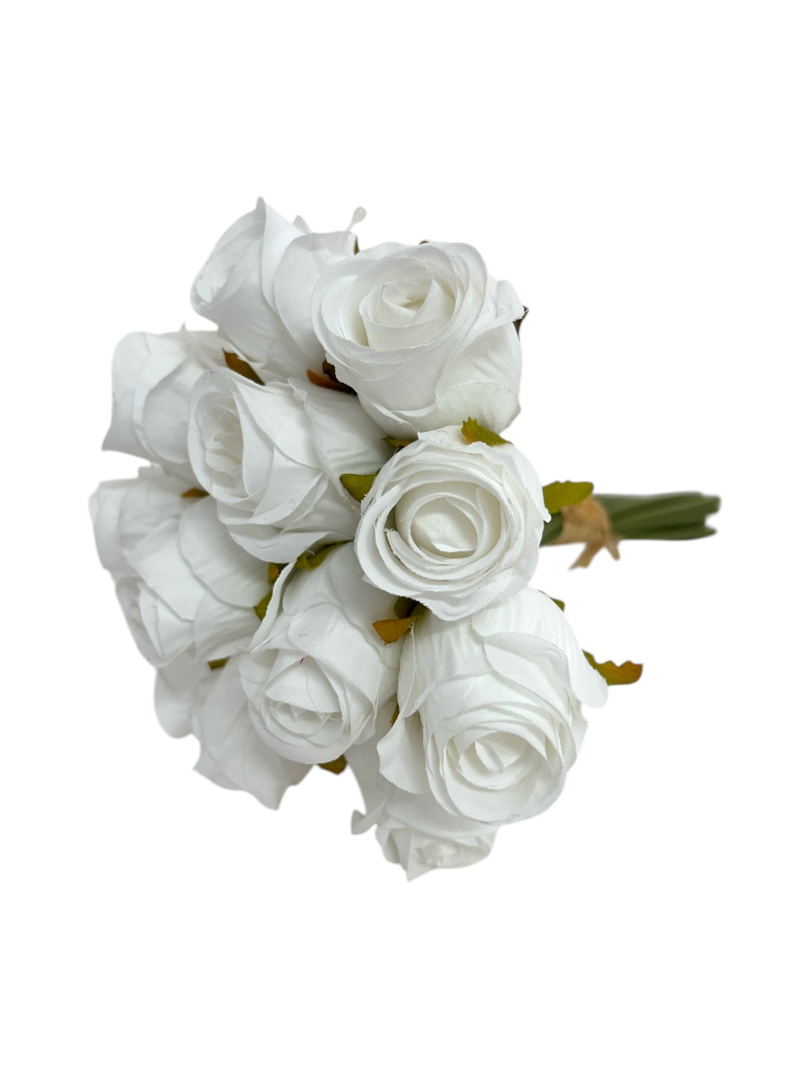 Photoroom_20250312_142545