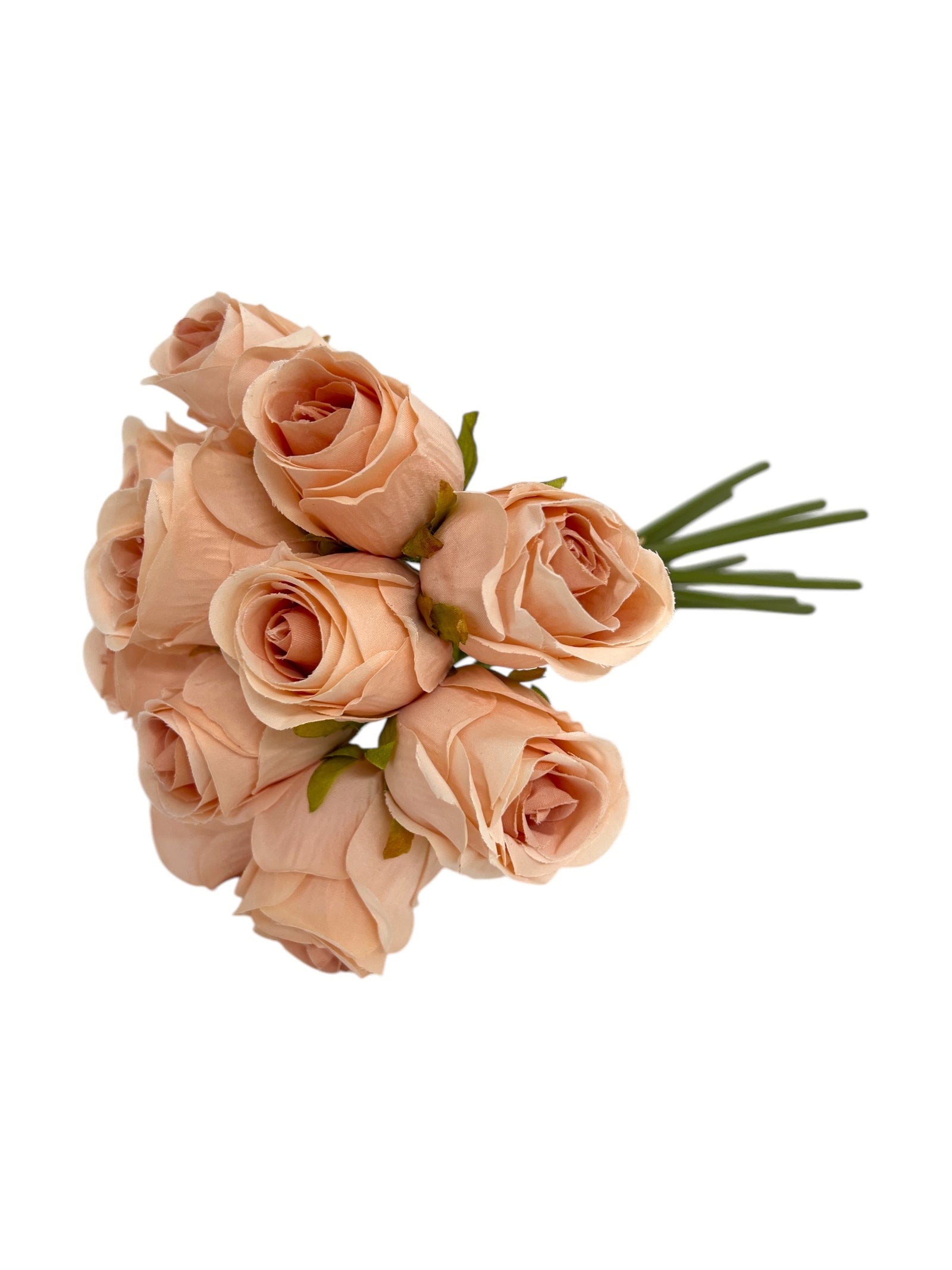 Photoroom_20250312_142652