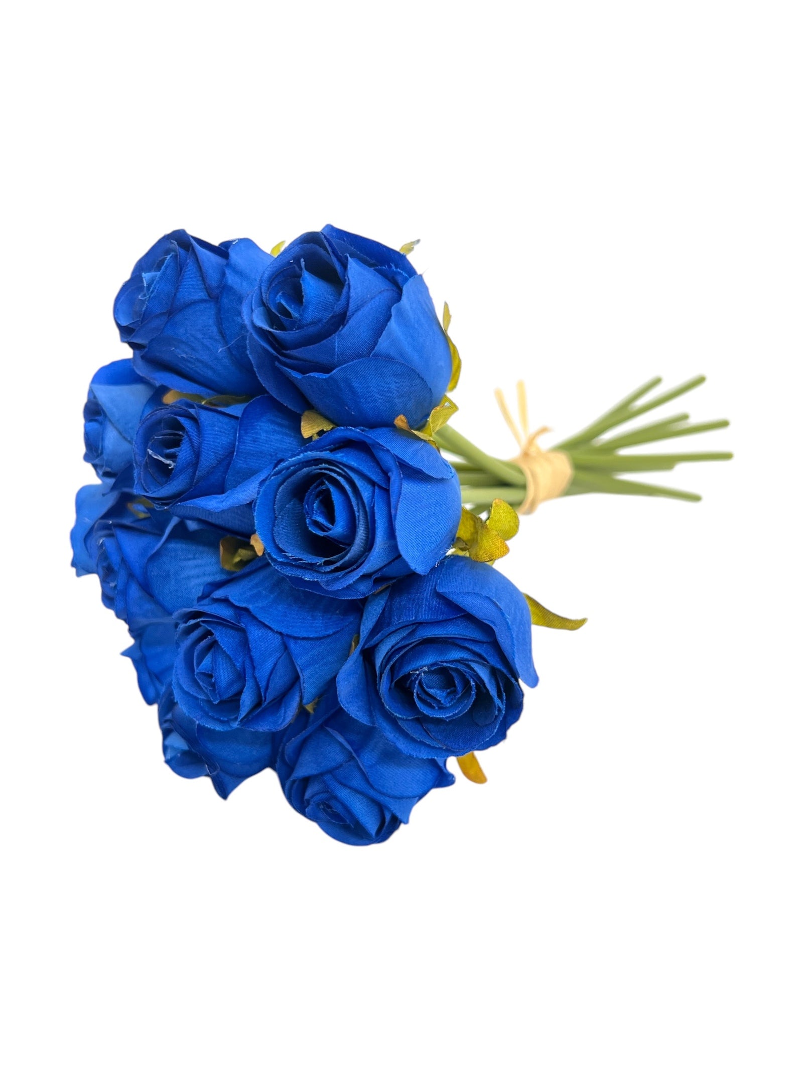 Photoroom_20250312_142850