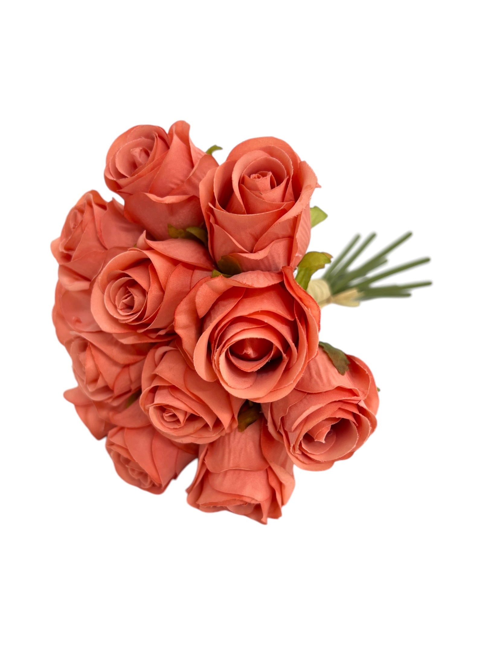 Photoroom_20250312_142936