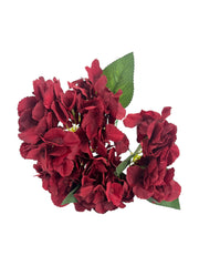 Photoroom_20250312_163929