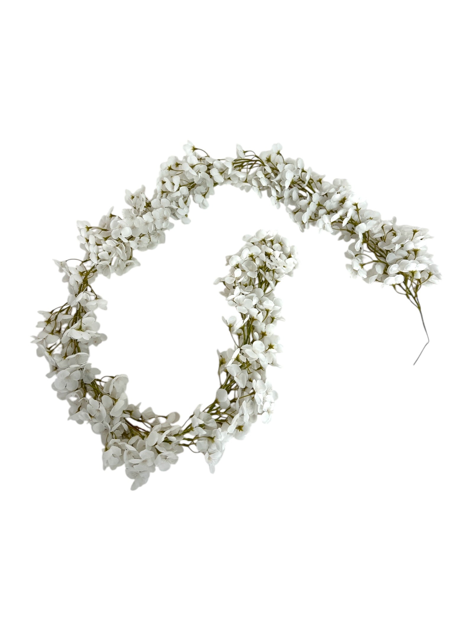 Photoroom_20250312_165022