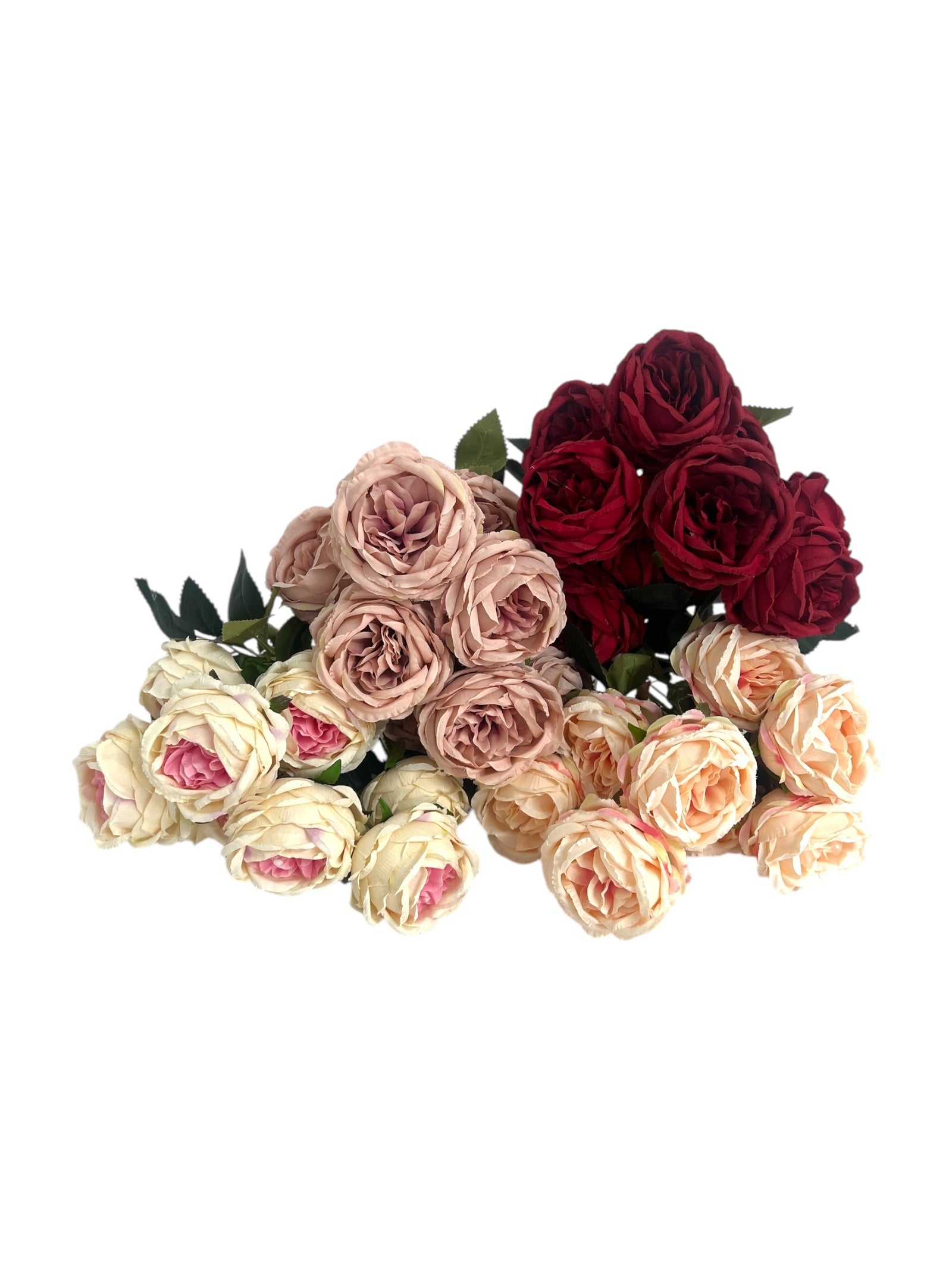 Photoroom_20250312_162932