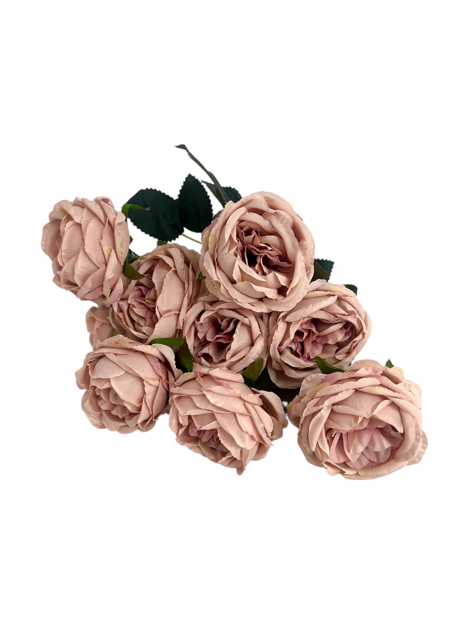 Photoroom_20250312_163053