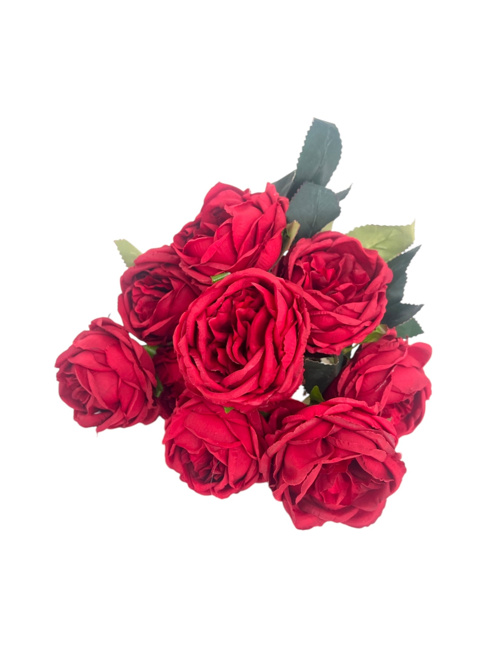 Photoroom_20250312_163205