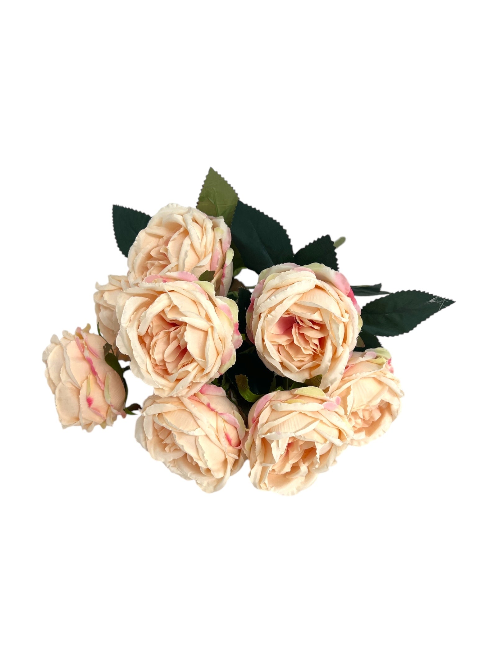 Photoroom_20250312_163348