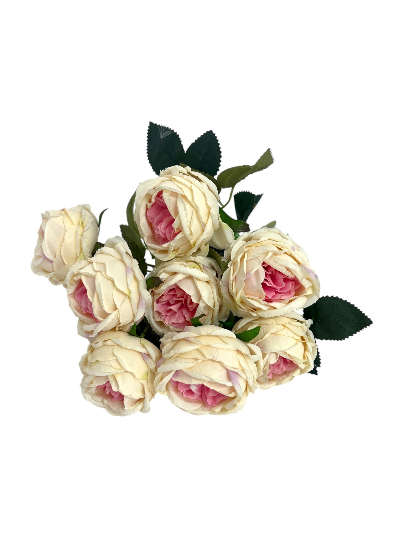 Photoroom_20250312_163523