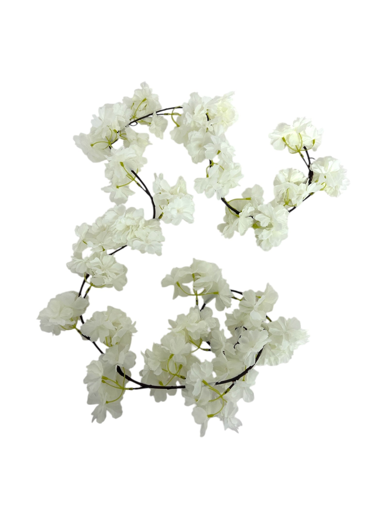 Photoroom_20250317_085530