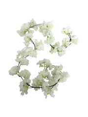 Photoroom_20250317_085530