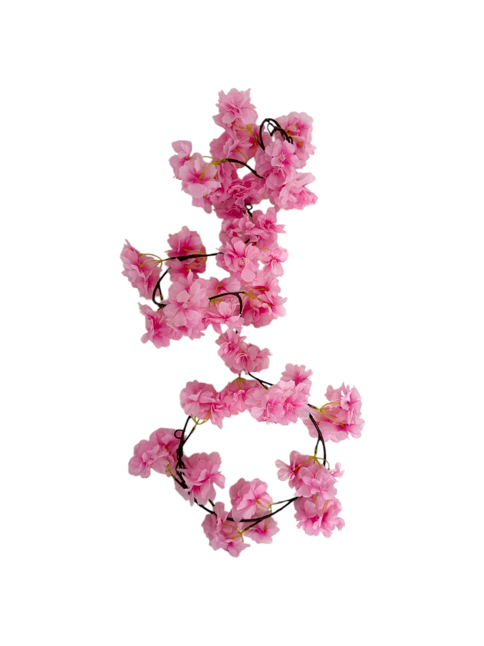 Photoroom_20250406_113648