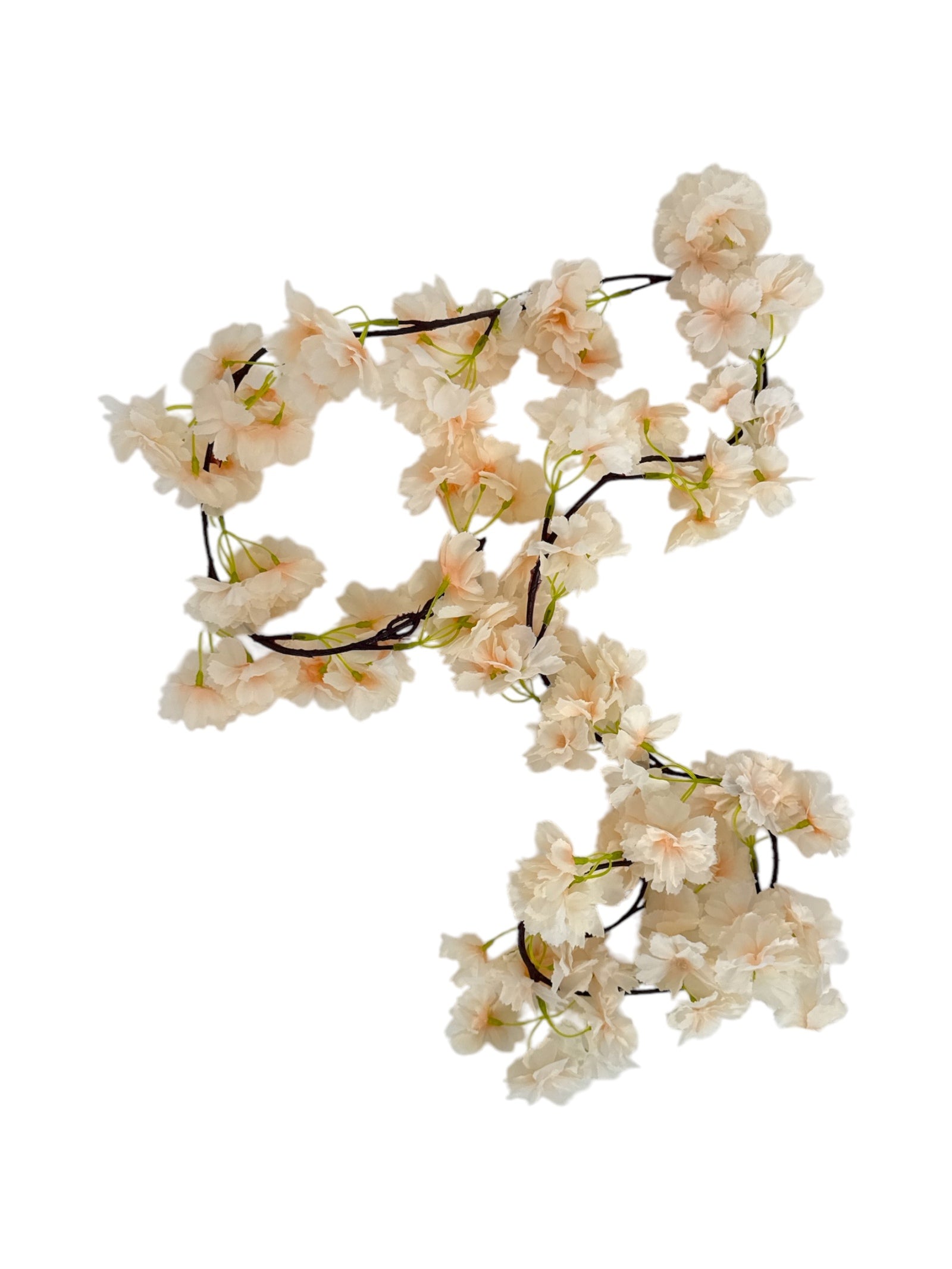 Photoroom_20250406_113612