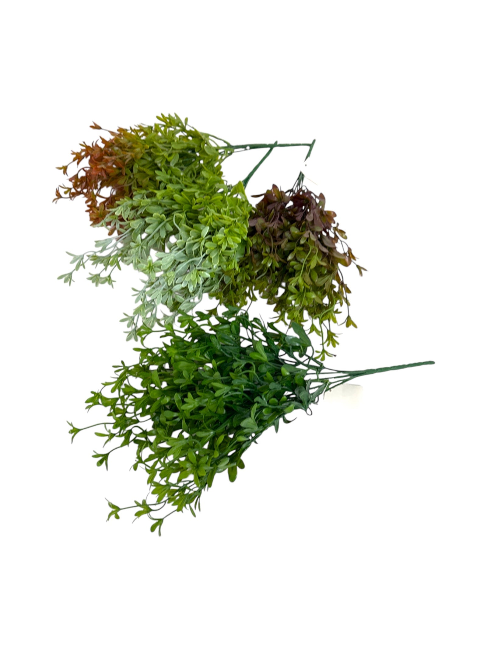 Photoroom_20250406_113824