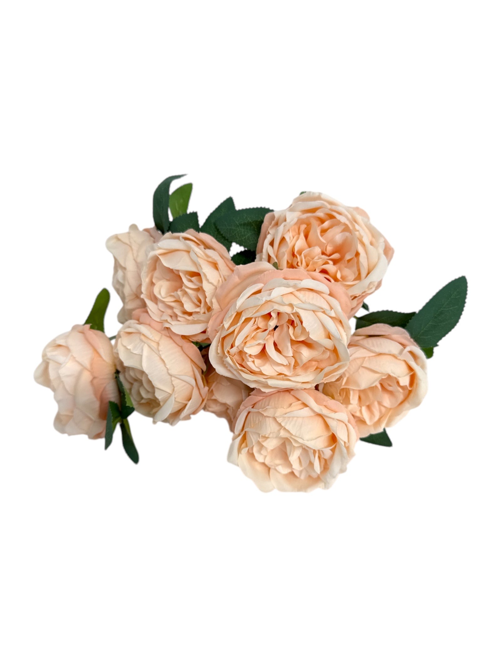 Photoroom_20250502_121926